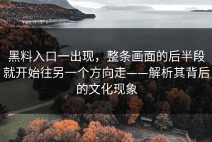 黑料入口一出现，整条画面的后半段就开始往另一个方向走——解析其背后的文化现象
