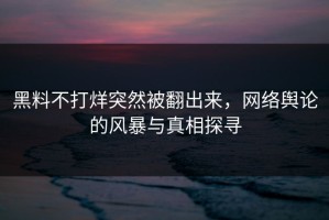 黑料不打烊突然被翻出来，网络舆论的风暴与真相探寻