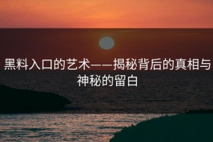 黑料入口的艺术——揭秘背后的真相与神秘的留白
