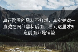 真正耐看的黑料不打烊，其实关键一直藏在网红黑料后面，看到这里才知道前面都是铺垫