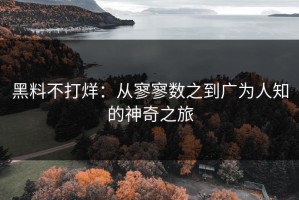 黑料不打烊：从寥寥数之到广为人知的神奇之旅