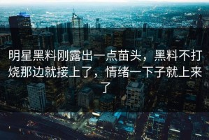明星黑料刚露出一点苗头，黑料不打烧那边就接上了，情绪一下子就上来了