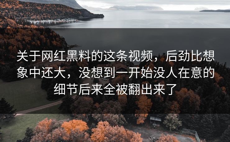 关于网红黑料的这条视频，后劲比想象中还大，没想到一开始没人在意的细节后来全被翻出来了