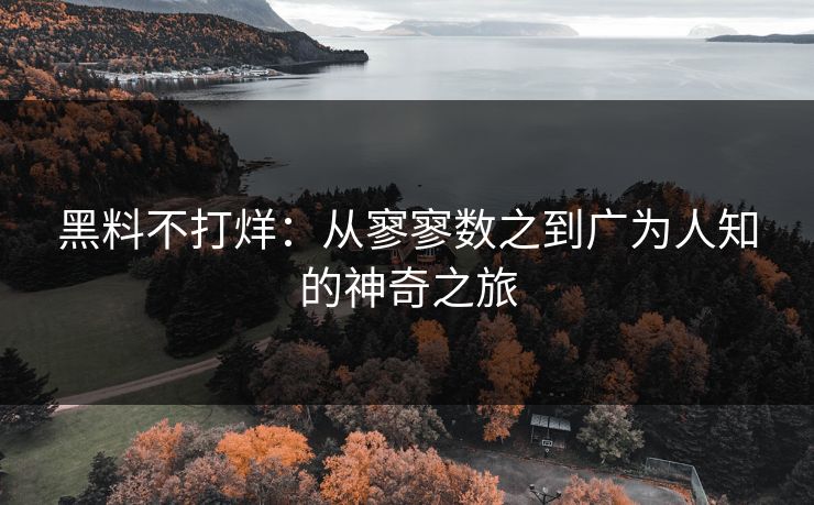 黑料不打烊：从寥寥数之到广为人知的神奇之旅