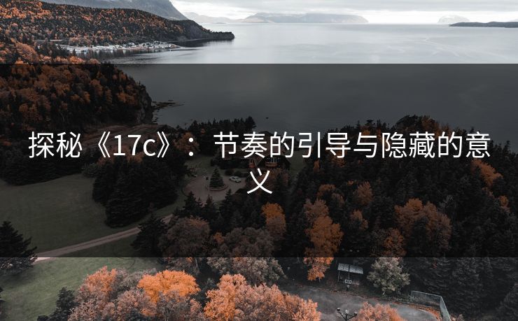 探秘《17c》：节奏的引导与隐藏的意义