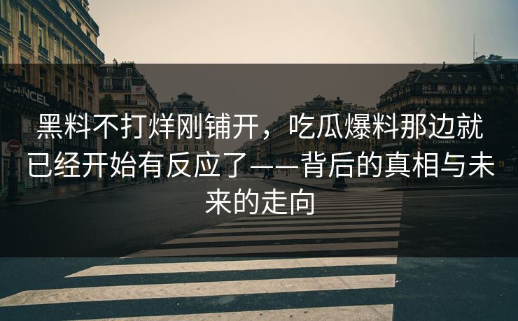 黑料不打烊刚铺开，吃瓜爆料那边就已经开始有反应了——背后的真相与未来的走向