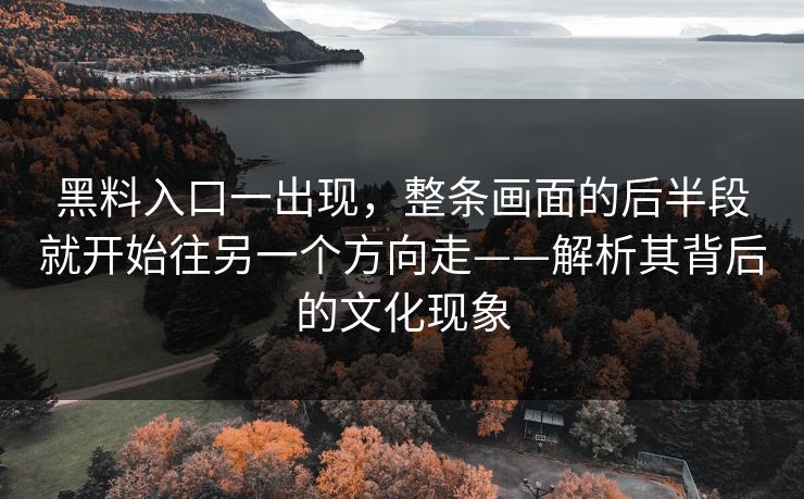 黑料入口一出现，整条画面的后半段就开始往另一个方向走——解析其背后的文化现象